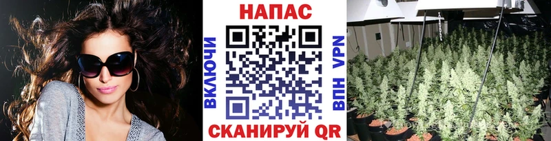 Где купить Волосово Бошки Шишки  Cocaine  ГАШ  АМФЕТАМИН  Меф мяу мяу 