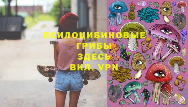 ГАЛЛЮЦИНОГЕННЫЕ ГРИБЫ Волоколамск